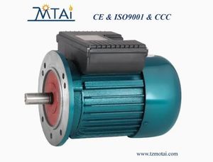 YL Single Phase Dual Value Capacitor Motor For Water Pump Air Compressor