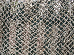 High Quality Fishing Net