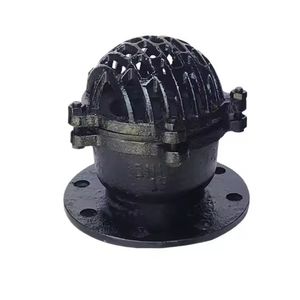 BS Std Cast Iron/Ductile Iron Foot Valve in Pump Application Pn16 Industrial Valve