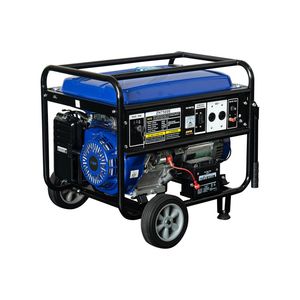 Home Use China 6kw Portable LPG Power Generator
