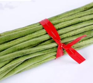 Double Wires Plastic Vegetable Twist Tie Customized Printed for Vegetable Packaging