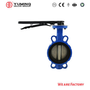 Soft Seal Centerline Wafer Butterfly Valve Stainless Steel Valve Plate