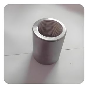 Clamp Pipe Fitting Stainless Steel 304 NPT Female Thread Socket Half Coupling