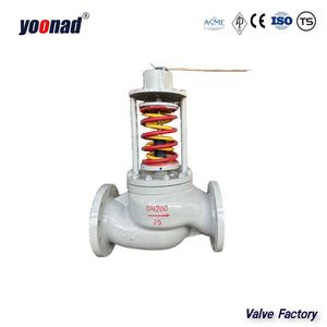 ANSI 300lb Pn20 150lb DN200 DN150 Wcb Stainless Steel CF8 Self-Operated Pressure Regulating Valve for Oil Water