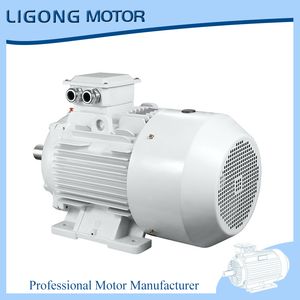 Ye5-80m2-4 0.75kw 1430rpm Ye5 Electric Three-Phase Motor 380V 50Hz