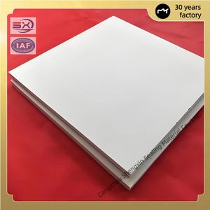 High Pressure Resistant and Corrosion Resistant White 3mm PTFE Sheet Expansion PTFE Sheet