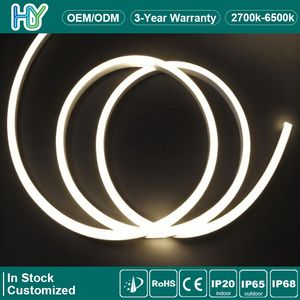 Hot Sale Outdoor Nova Series Top Bend Ns-Qh1010t LED Neon Strip IP68 Waterproof High Fexibility Safety for Permanent Neon Lighting