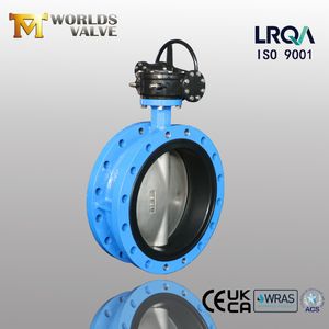 Awwa C504 Ss CF8 CF8m Stainless Steel Disc Double Flange Butterfly Valve