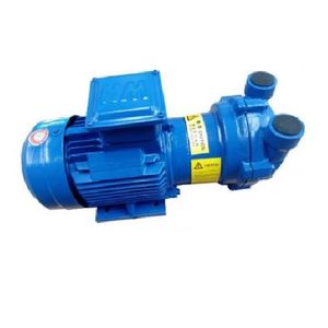 2BV Industrial Liquid Ring Vacuum Pump Air Filter Water Ring Vacuum Pump