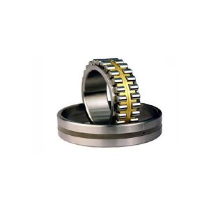Double Rows Nn3008 Nn3009mbkccp4/P5 Cylindrical Roller Bearing for Machine Tool