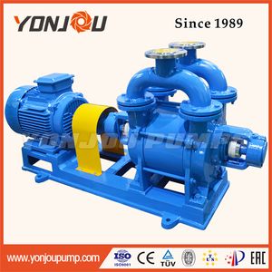 Hot Sale Water Ring Vacuum Pump