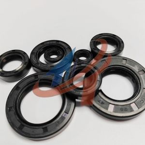 High-Performance NBR Sc Tc Skeleton Oil Seal Black Brown Red Double Lip Single Lip