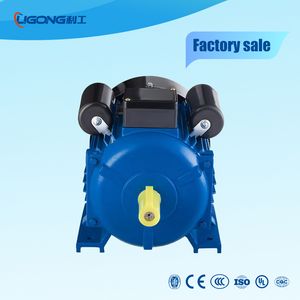 Yl Series Single Phase Induction Asynchronous Motor 0.12kw-3.7kw 2-Pole 4-Pole 6-Pole