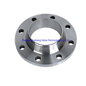 Premium Quality Stainless Steel Flanges for Industrial Use