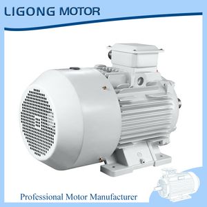 Ye5-80m1-6 0.37kw 931rpm Ye5 Three-Phase Induction Motor for Machine Tools 6-Pole