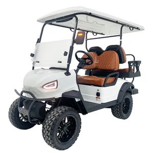 2+2 Seater Electric Car Passenger Bus Golf Buggy with Cheap Price