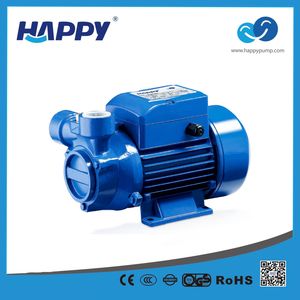 Vortex Color Horizontal Motor 1HP Water Electric Pump (HLQ)