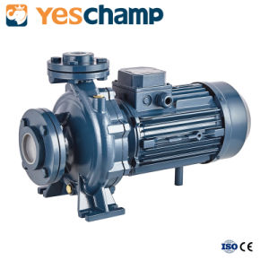 5HP Electric Monoblock Centrifugal Water Pump From Yeschamp