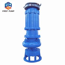 Wear-Resisting and Corrosion Vertical Sewage Drainage Submersible Slurry Pump for Gold Mine or Coal Mine or Copper Mine or Processing Plant