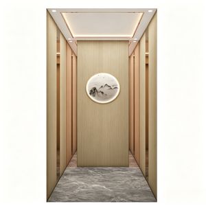 2-6 Floors Home Lift Small Residential Elevator Villa Elevator for Private Residences