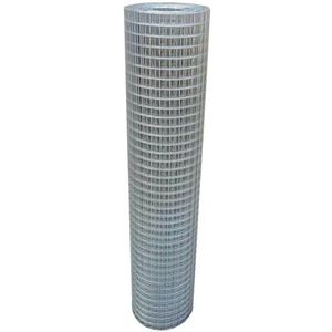 China Supplier Galvanized Steel Welded Wire Mesh Coil for Building