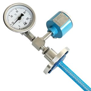 High Precision Bimetallic Thermometer Anti High Temperature Industrial Use