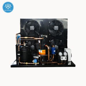 Cool Room/Blast Freezer/Deep Freezer Condensing Unit for Food Storage