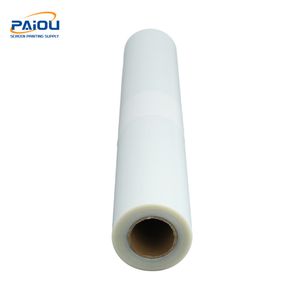 High Light Transparency Transparent Glossy Polyester Pet Inkjet Film for Printing
