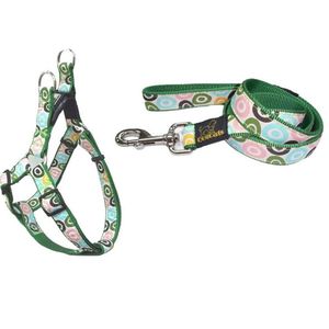 Factory Direct 5 Foot Sublimation Printed S Pet Nylon Dog Leash
