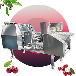 Full Automatic Cherry Positioning Core Removing Machine for Fruit & Vegetable Processing
