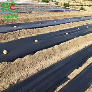 Fully Biodegradable Environmental Protection White Plastic Mulch Film