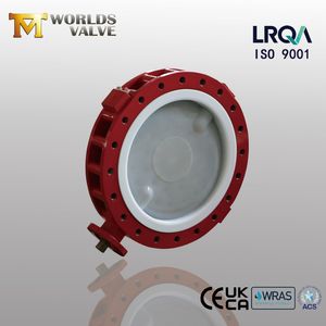 24 Inch DN600 PTFE/PFA Coated U Section Flanged Butterfly Valves for API609