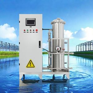 Flygoo China 500g 800g 1kg Large Ozone Generator for Water Treatment