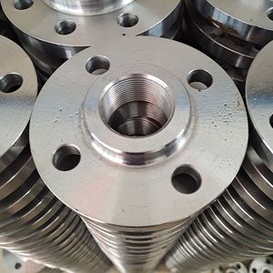 Premium Stainless Steel Flange for Industrial Applications and Projects