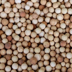 Fenton Oxidation Catalyst to Improve Biodegradability in Wastewater Treatment Use