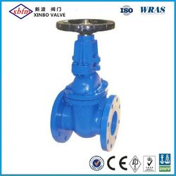 ANSI Rising Stem Cast Iron Gate Valve