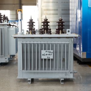 22kv Distribution Transformer (Oil immersed)