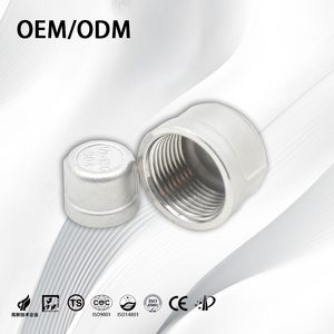 Stainless Steel Industrial High-Temperature Resistant Threaded Tube End Cap with Square Head