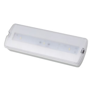 1.5W 3 PCS Non-Maintained LED Rechargeable Emergency Lighting with Chargeable Batteries