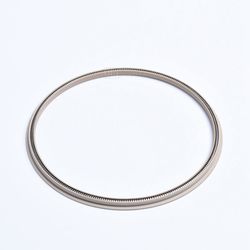 Outside Spring Energized Seals PTFE Spring Lip Seals