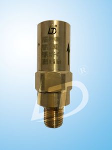 Safety Valve for Cryogenic Storage Tank