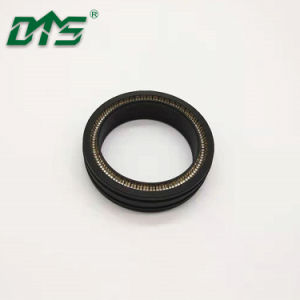 PTFE Lip Seal, Spring Energized PTFE Lip Seal