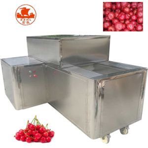 Commercial Use Fruit Stone Coring Seed Removing Plum Olive Cherry Pitting Machine