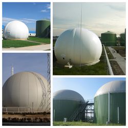 100-5000m3 Biogas Storage Tank Gas Holder for Biogas Project