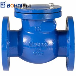 Flanged Rubber Disc Check Valve