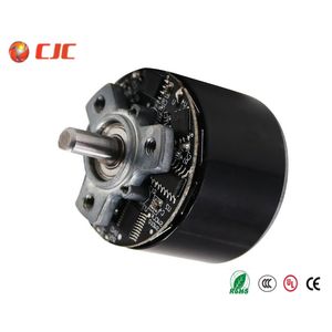 3800rpm Brushless DC Motor Electric BLDC Motor for Fascia Massage Gun