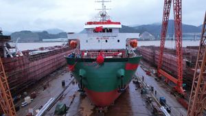 Cheap Cargo Multi-Purpose Container Ship with High Quality for Sale