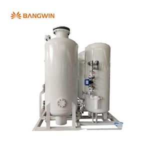 Psa Oxygen Plant for Industrial Medical Gas Supply Manufacturer