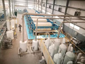 Meckey Broken Rice to Glucose Processing Equipments