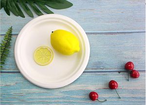 Biodegradable Eco-Friendly 10 Inch Bagasse Plate Sugarcane Pulp Plates